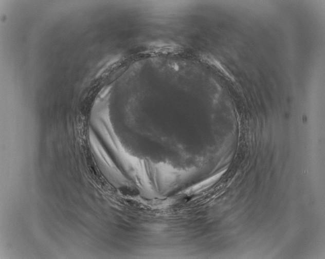 X0000062851399200602031615