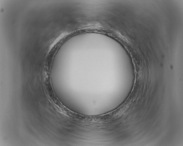 X0000062851400200602031615