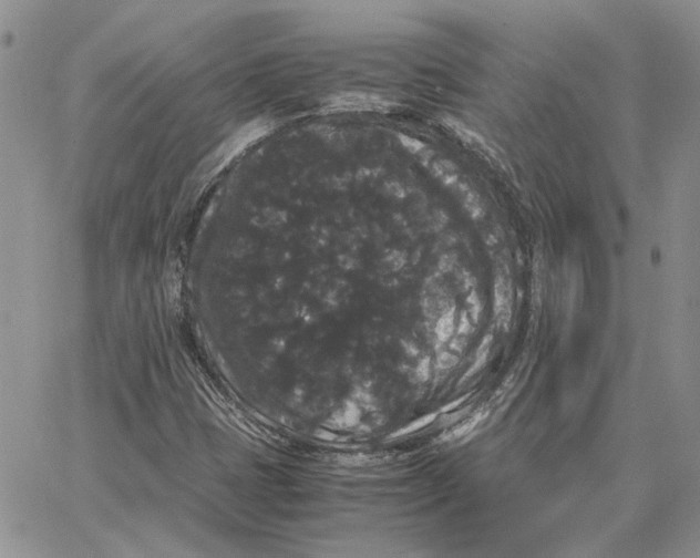 X0000062851401200602031615