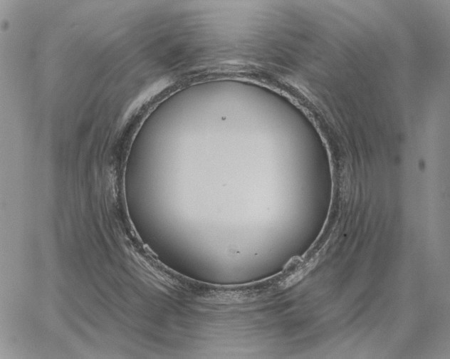 X0000062851402200602031615