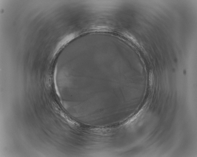 X0000062851405200602031615