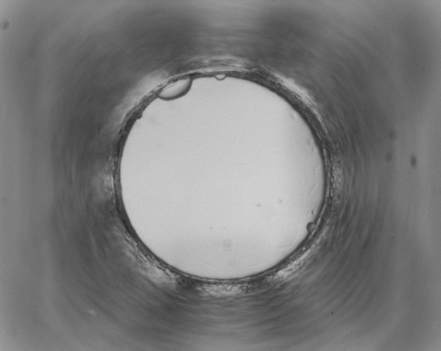 X0000062851407200602031615