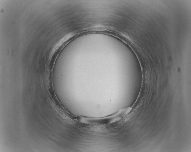 X0000062851410200602031615