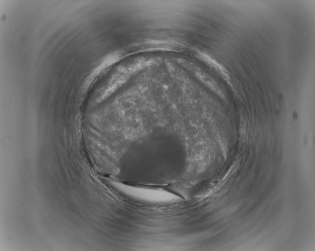 X0000062851411200602031615