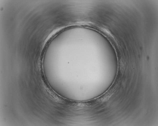 X0000062851412200602031615