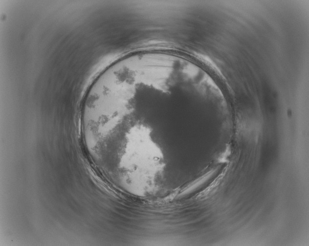 X0000062851413200602031615