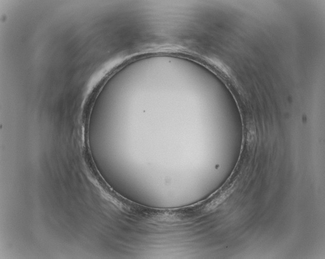 X0000062851414200602031615