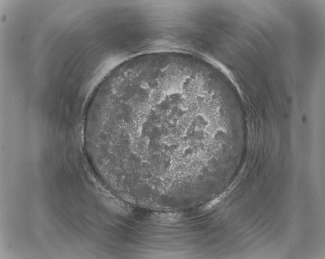 X0000062851415200602031615