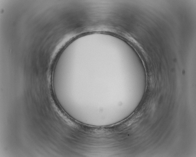 X0000062851416200602031615