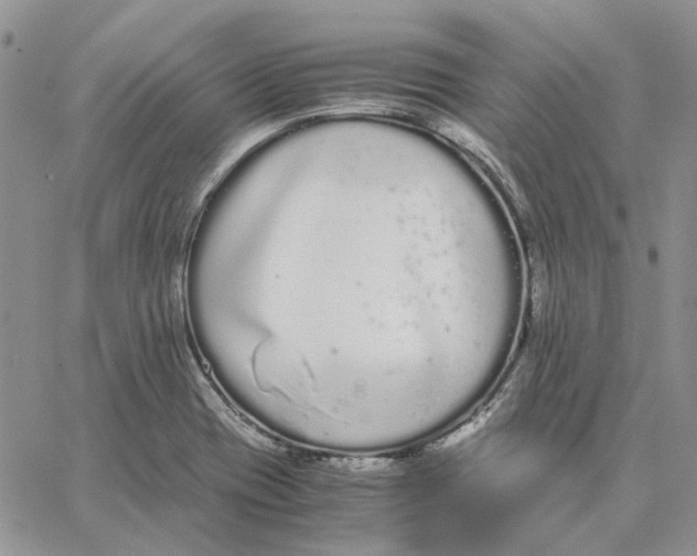 X0000062851417200602031615