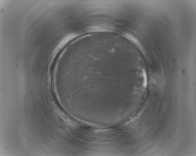 X0000062851419200602031615