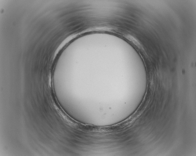 X0000062851420200602031615