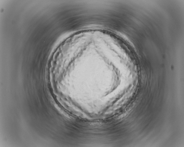 X0000062851421200602031615