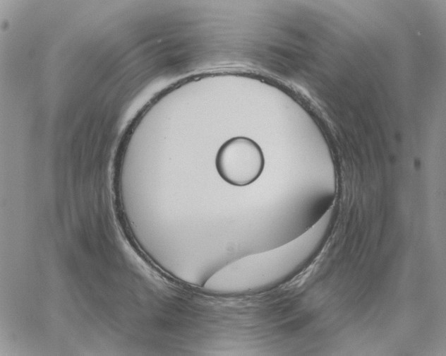 X0000062851422200602031615