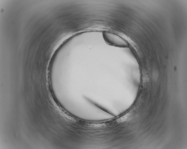 X0000062851423200602031615