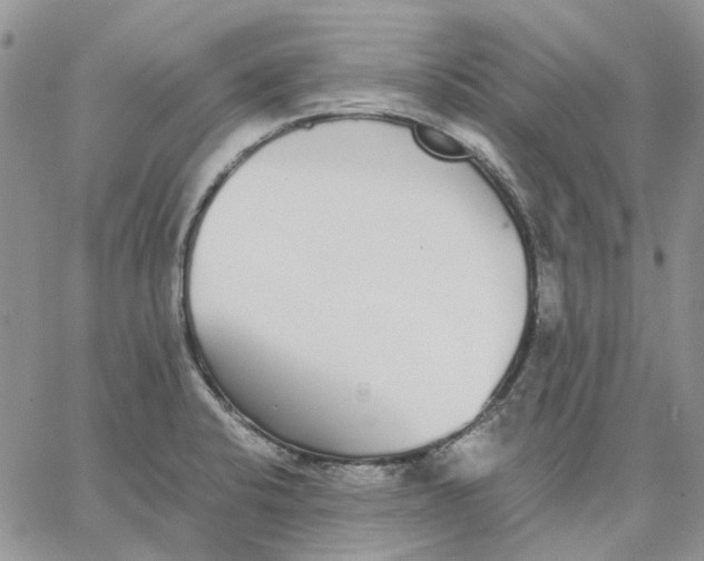 X0000062851424200602031615