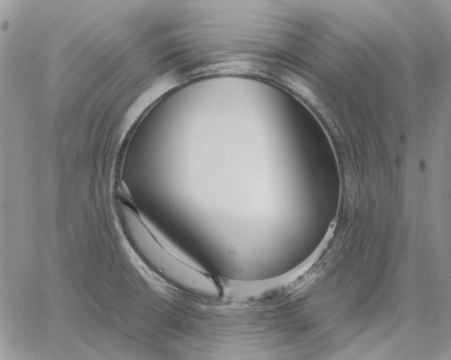 X0000062851426200602031615