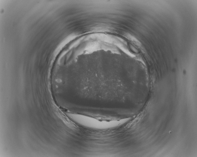 X0000062851427200602031615