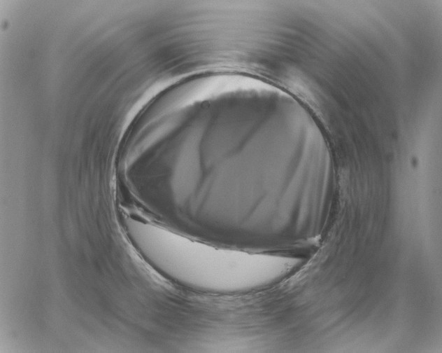 X0000062851428200602031615