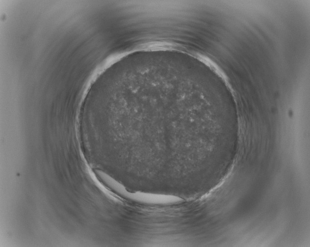 X0000062851429200602031615