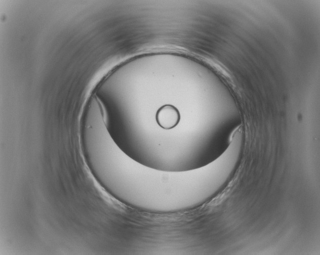 X0000062851430200602031616