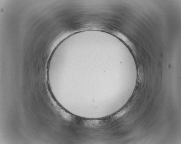 X0000062851431200602031616