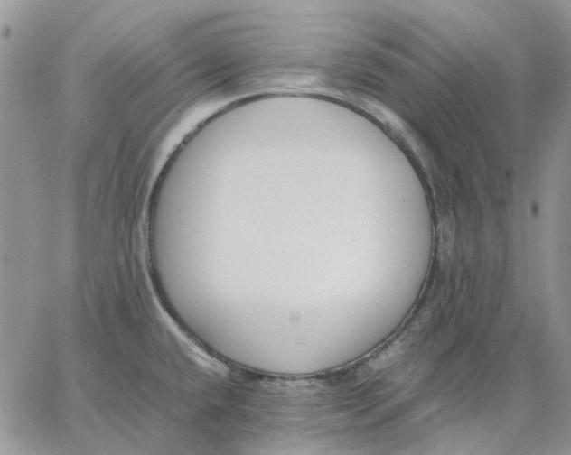 X0000062851432200602031616