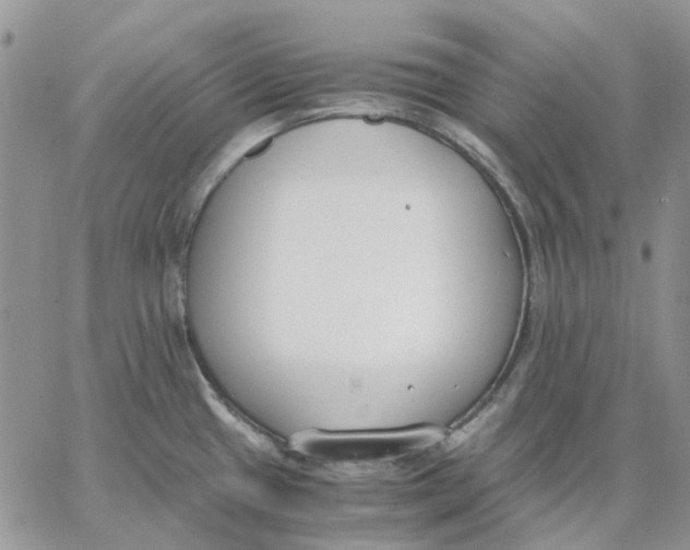 X0000062851433200602031616