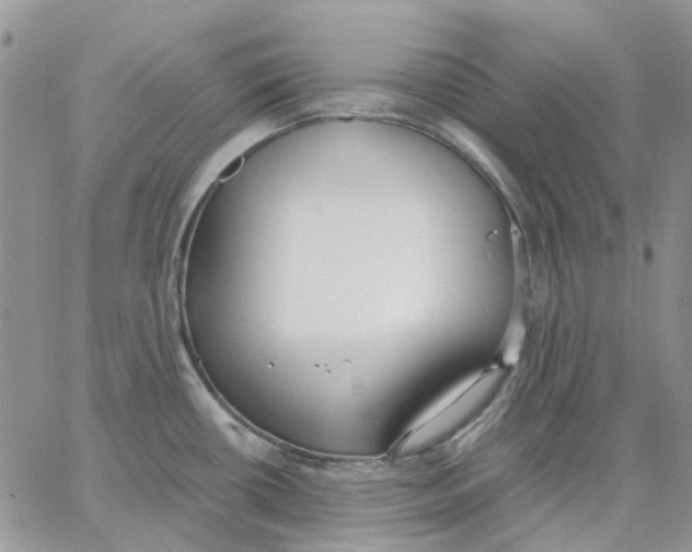 X0000062851434200602031616