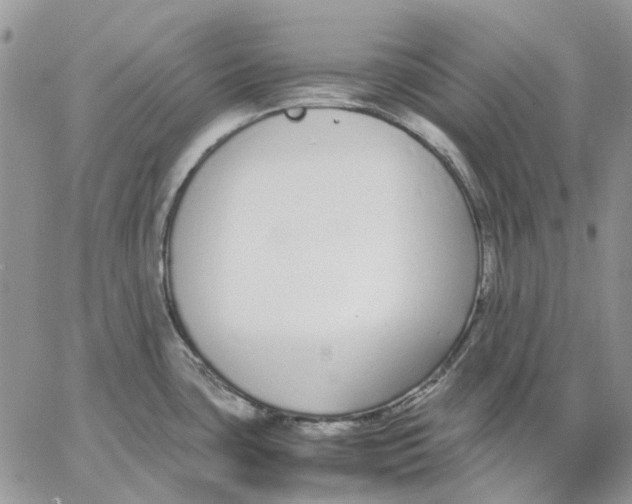 X0000062851435200602031616