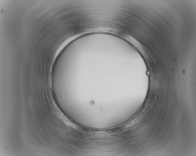 X0000062851436200602031616