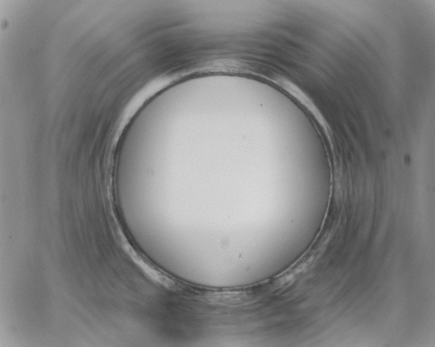 X0000062851437200602031616