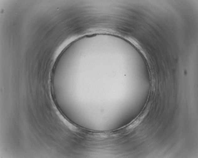 X0000062851438200602031616