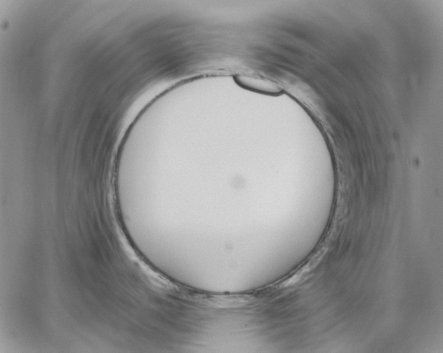 X0000062851440200602031616