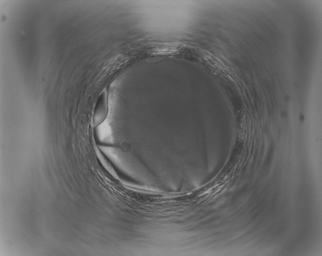 X0000062851441200602031615