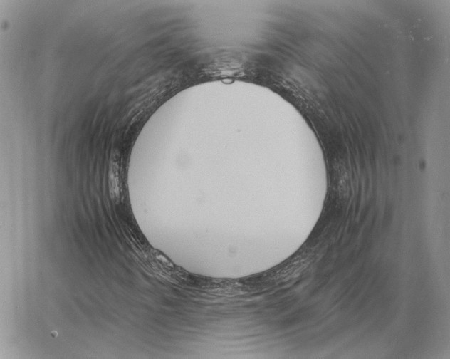 X0000062851442200602031615