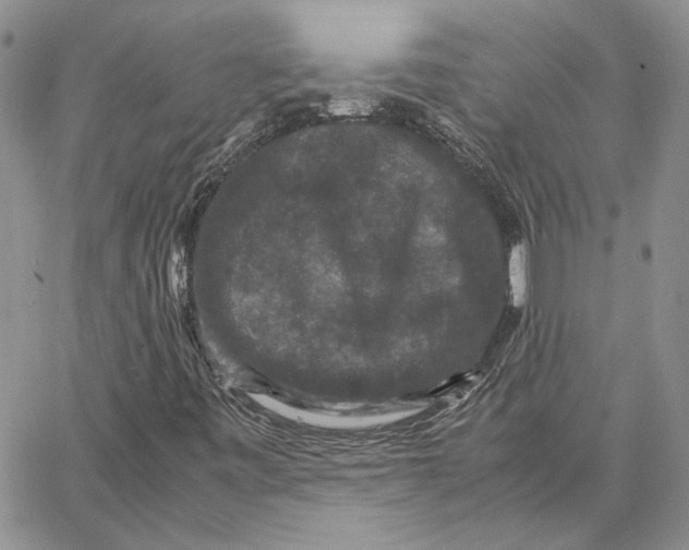 X0000062851443200602031615