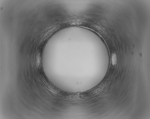 X0000062851444200602031615