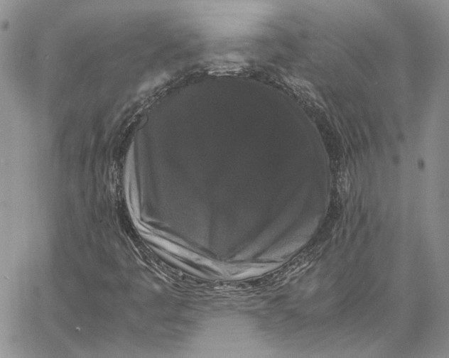 X0000062851445200602031615