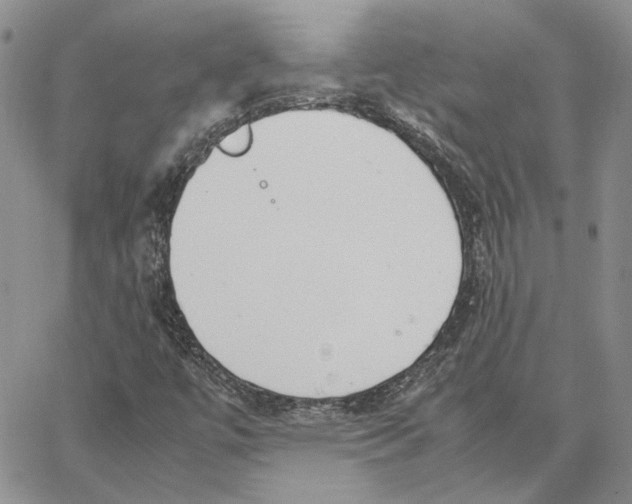 X0000062851447200602031615