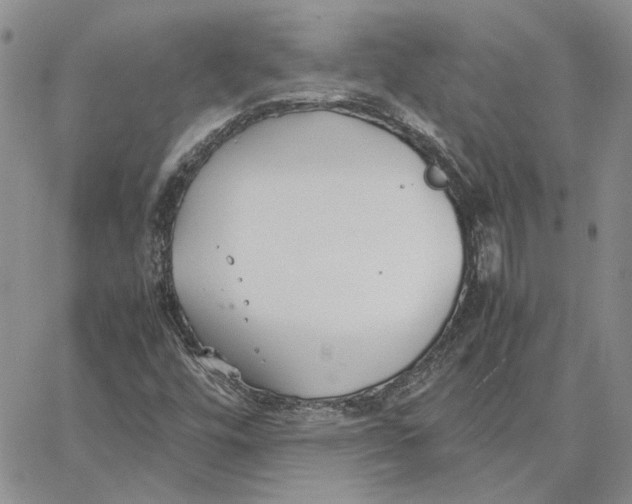 X0000062851448200602031615