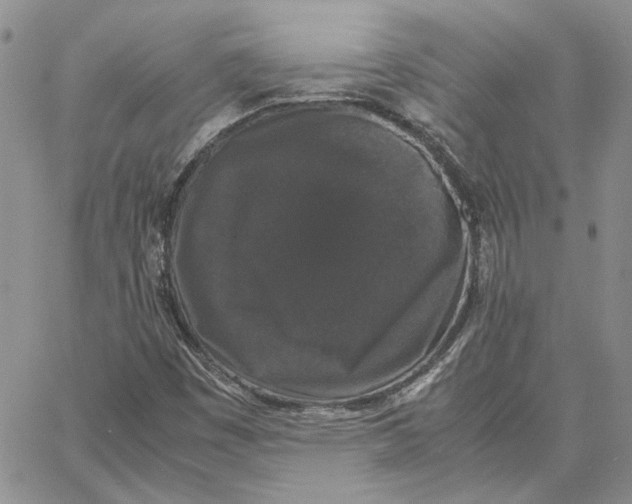 X0000062851449200602031615