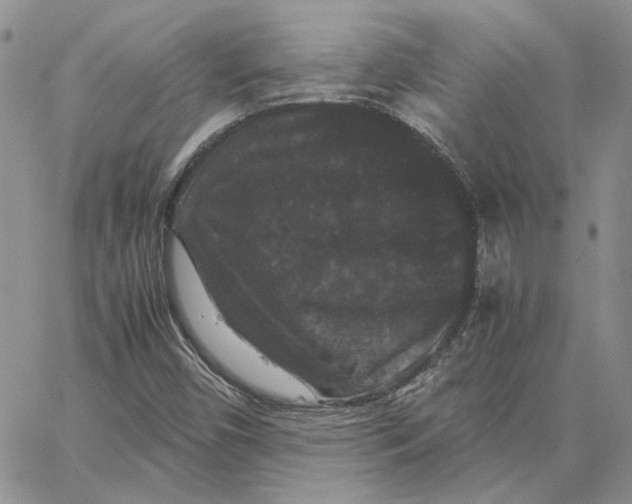 X0000062851450200602031615