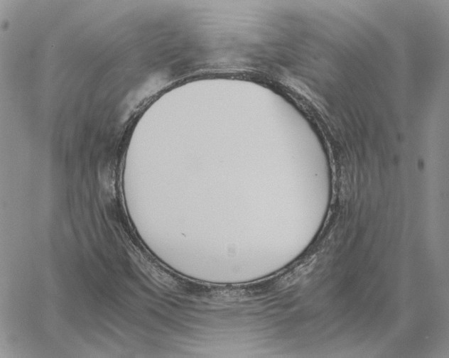 X0000062851451200602031615