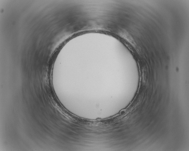 X0000062851452200602031615