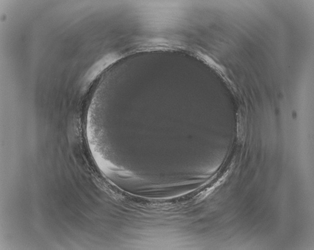 X0000062851453200602031615