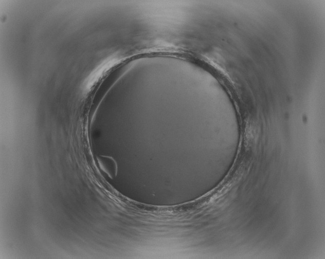 X0000062851455200602031615