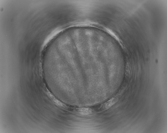 X0000062851456200602031615