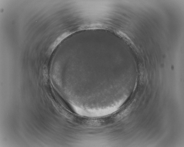 X0000062851457200602031615