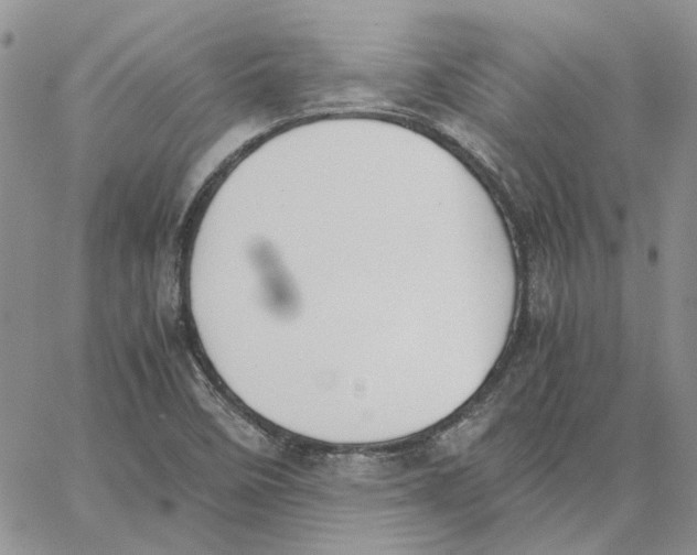 X0000062851458200602031615